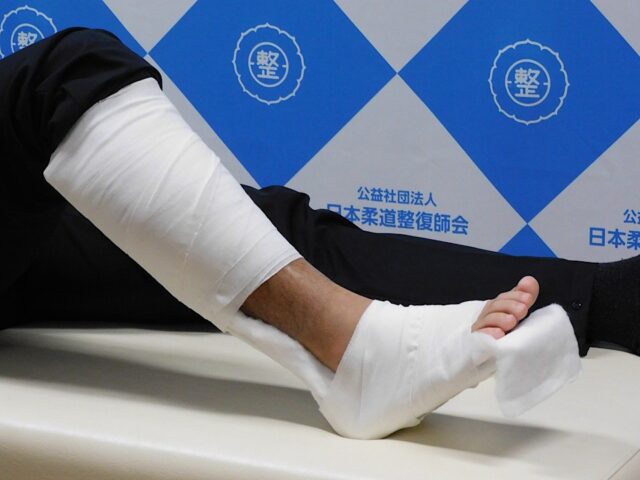 公益社団法人日本柔道整復師会「匠の技 伝承」プロジェクト2025年度 第3回指導者育成講習会開催